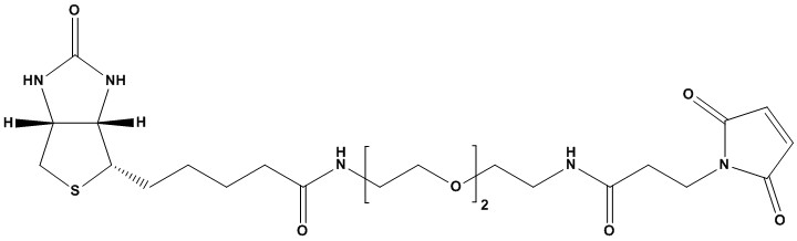 Biotin-PEG2-maleimide