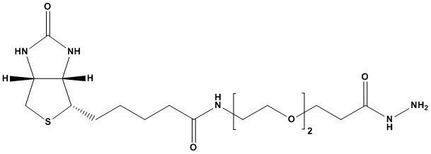 Biotin-PEG2-propionic hydrazide