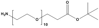 H2N-PEG10-tBu