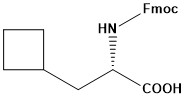 Fmoc-Ala(&beta;-cyclobutyl)-OH