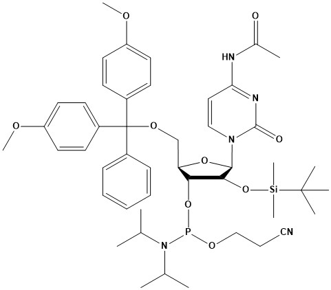 DMT-2′-O-TBDMS-rC(Ac) Phosphoramidite
