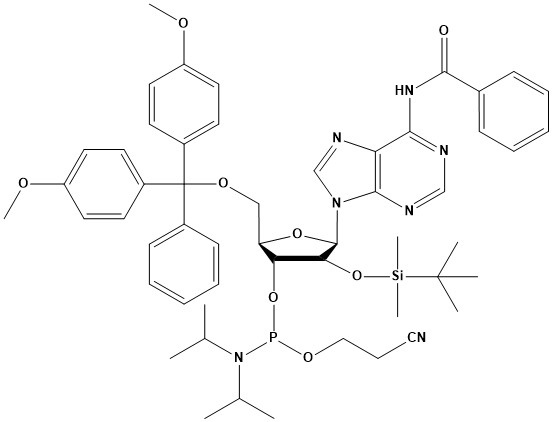 DMT-2′-O-TBDMS-rA(Bz) Phosphoramidite