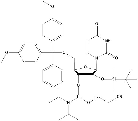 DMT-2′-O-TBDMS-rU Phosphoramidite